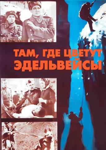 Постер фильма «Там, где цветут эдельвейсы»