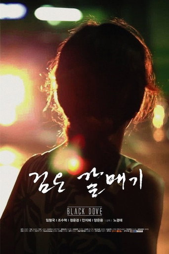 Постер фильма «검은 갈매기»