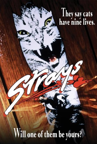 Poster for “Strays”
