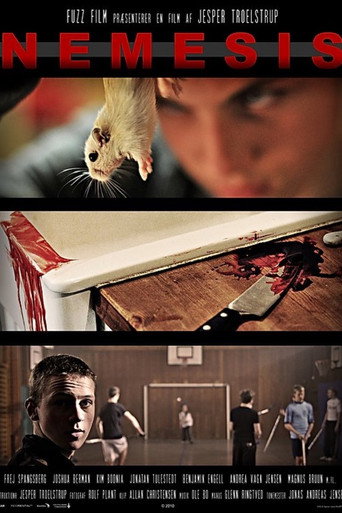 Постер фильма «Nemesis»