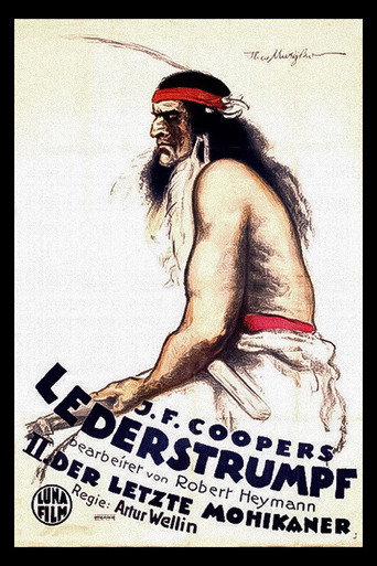 Poster for “Deerslayer”