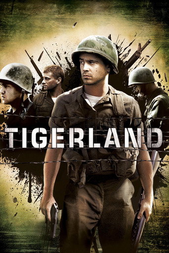 Постер фильма «Страна тигров»