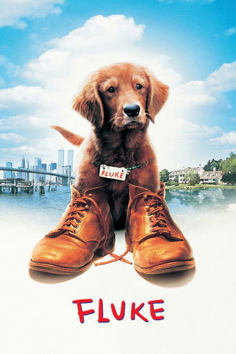 Poster for “Fluke”