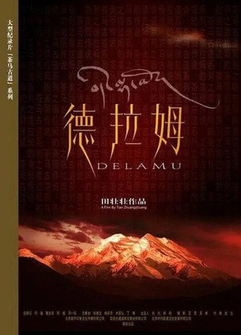 Постер фильма «德拉姆»