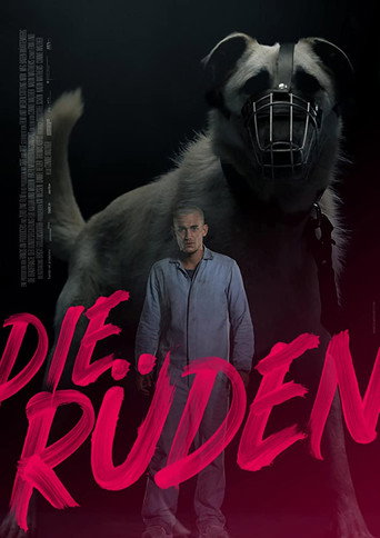 Постер фильма «Die Rüden»