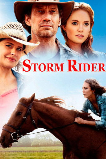 Постер фильма «Storm Rider»