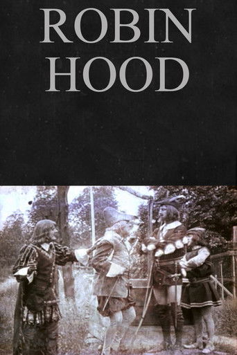 Постер фильма «Robin Hood»