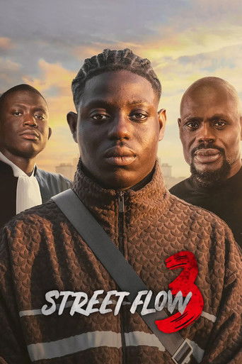 Poster for “Street Flow 3”