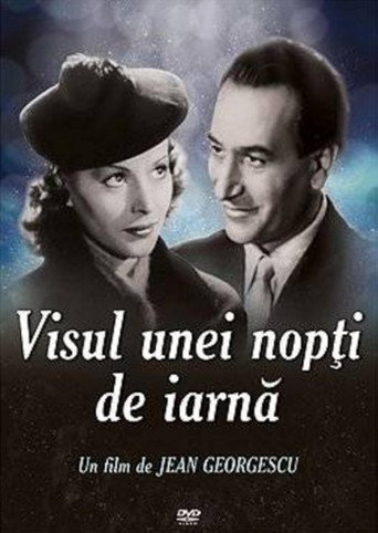 Постер фильма «Visul unei nopți de iarnă»