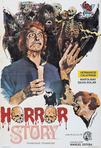 Постер фильма «Horror Story»