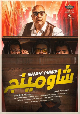 Постер фильма «شاومينج»