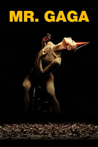 Poster for “Mr. Gaga”