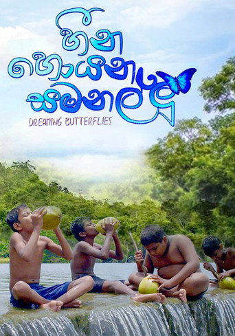 Poster for “Dreaming Butterflies”