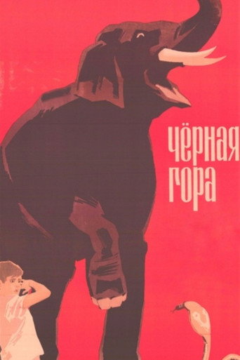Poster for “Black Mountain”