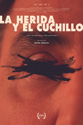 Постер фильма «La herida y el cuchillo (Notas para un film sobre García Wehbi)»