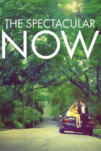Poster for “The Spectacular Now”