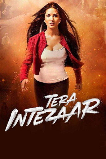 Постер фильма «Tera Intezaar»