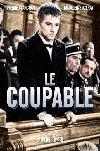 Постер фильма «Le Coupable»