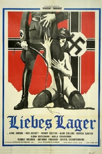 Постер фильма «Liebes Lager»