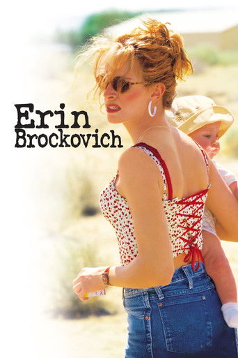 Poster for “Erin Brockovich”