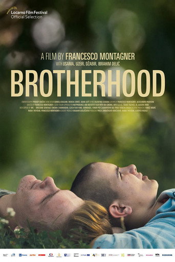Poster for “Brotherhood”