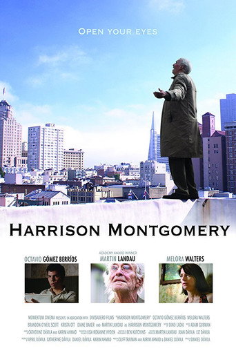 Poster for “Harrison Montgomery”