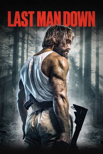 Постер фильма «Джон Вуд. Последняя кровь»