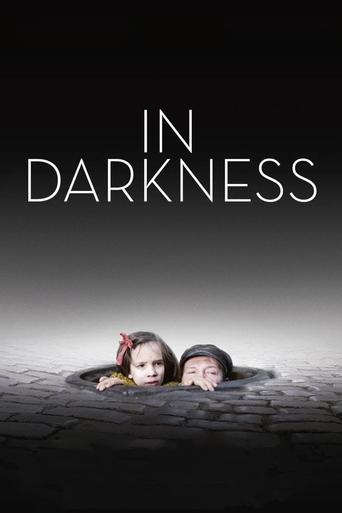 Poster for “In Darkness”