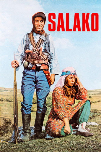 Постер фильма «Салако»