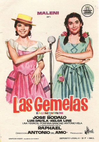 Poster for “The Twins”