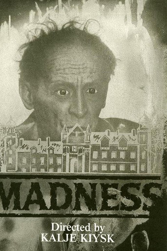 Poster for “Madness”