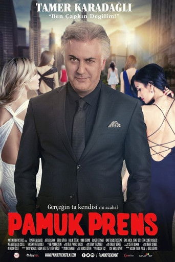 Постер фильма «Pamuk Prens»