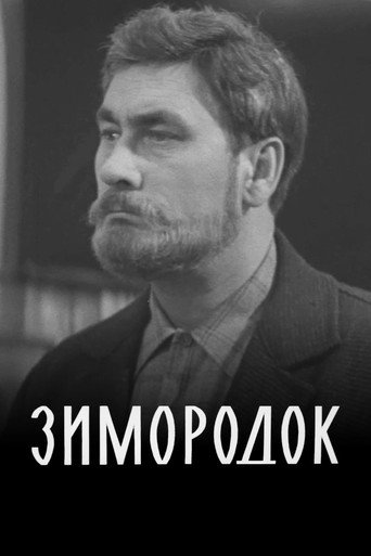 Постер фильма «Зимородок»