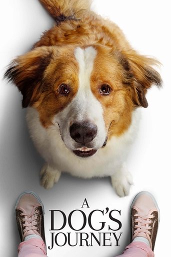 Poster for “A Dog's Journey”