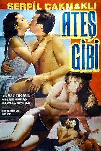 Постер фильма «Ateş Gibi»