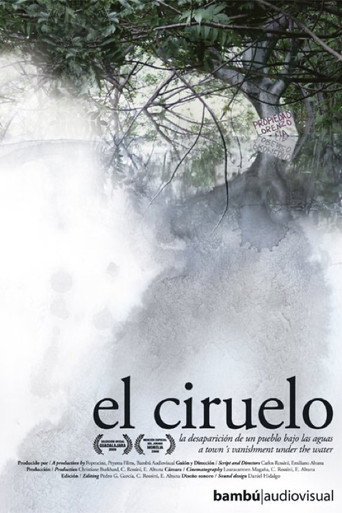 Постер фильма «El Ciruelo»