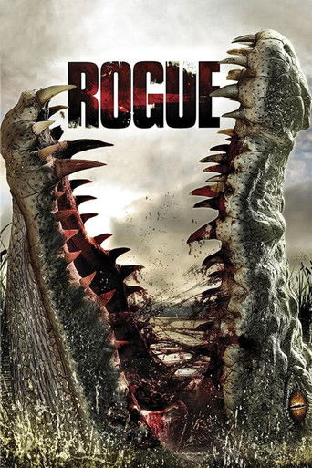Poster for “Rogue”