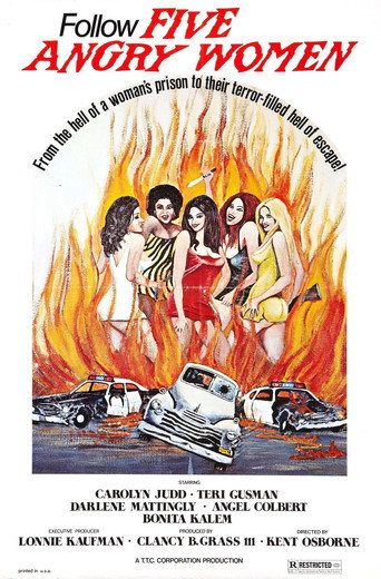 Постер фильма «Women Unchained»