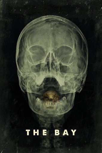 Poster for “The Bay”