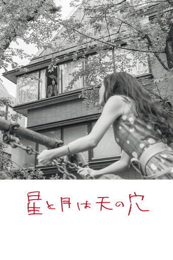 Постер фильма «星と月は天の穴»