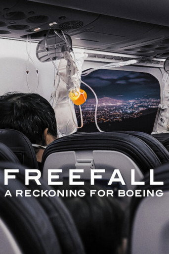 Постер фильма «Свободное падение: Дело против Boeing»