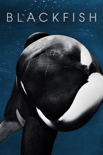 Poster for “Blackfish”