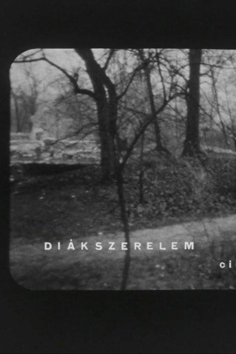 Постер фильма «Diákszerelem»