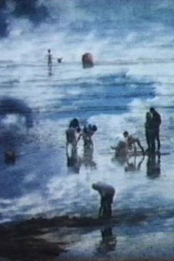 Poster for “The Beach”