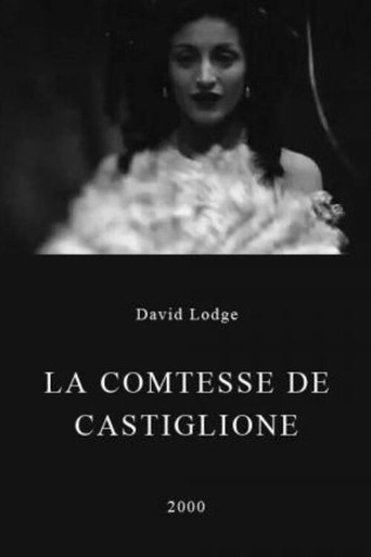 Постер фильма «La comtesse de Castiglione»