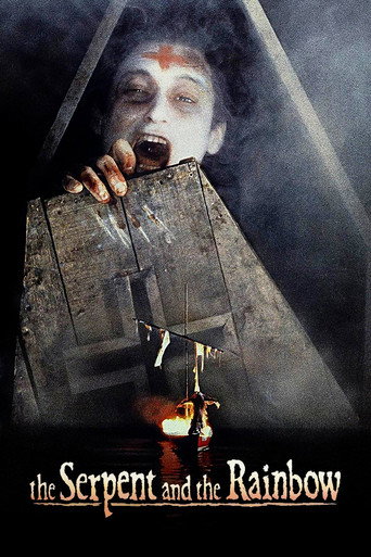 Постер фильма «Змей и радуга»