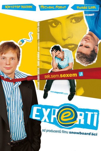 Постер фильма «Experti»