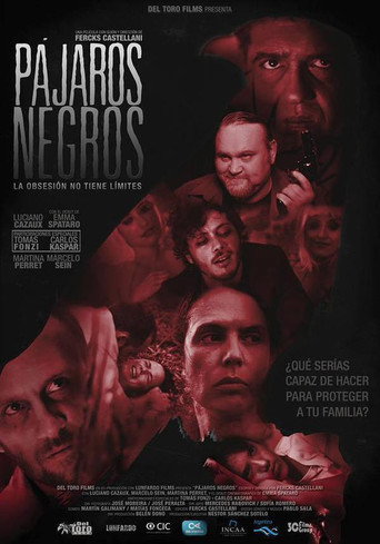 Poster for “Pájaros negros”