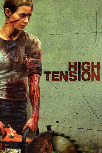 Poster for “High Tension”