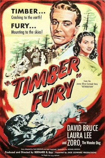 Постер фильма «Timber Fury»
